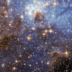 Meet your Posher, Delaney